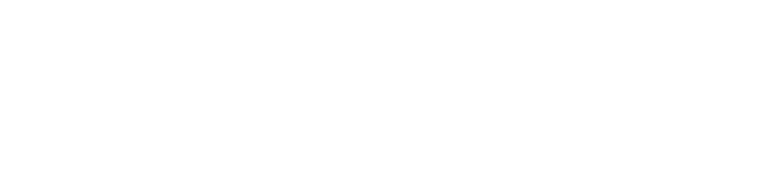 Madison Web Solutions